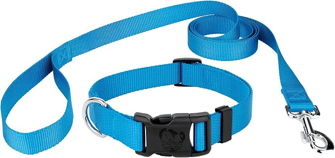 Country Brook Petz - Deluxe Nylon Dog Collar and Leash - 10+ Cool Colors (1 Inch, Extra Large, Ice Blue)
