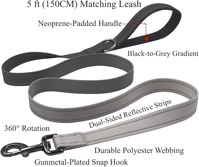 Dog Collar Leash Set, Gradient Color, with Safety Reflective Strips, 5 ft Matching Leash, Neoprene Padded Handle, Adjustable 4 Sizes for Small Medium Large Dogs.(XS, Black Grey)