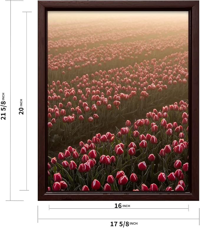 Monem Art Golden Tulip Field Sunset Photography Print - Romantic Spring Landscape Art Poster - Wall Decor for Living Room, Bedroom or Office - 16x20 Brown Framed CANVAS Wall Art by Mareike Bohmer