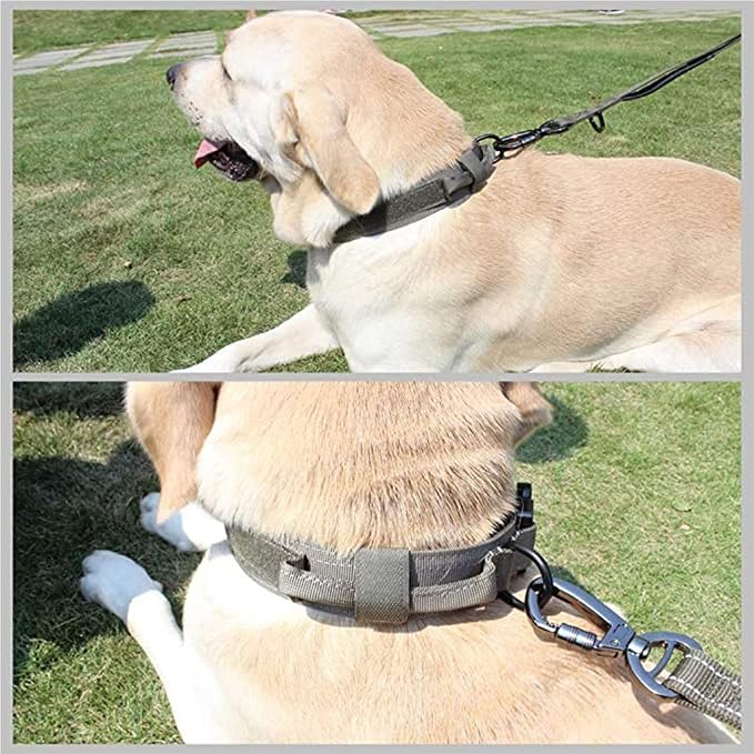Tactical Dog Collar and Leash Set Adjustable Military Nylon Dog Collar with Control Handle and Heavy Duty Metal Buckle for Large Dogs（Green XL