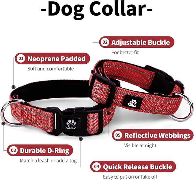IVY&LANE Reflective Dog Collar and Leash Set,Adjustable Neoprene Padded Dog Collars for Puppy, Breathable Nylon Pet Collar for Small Medium Large Dogs (Medium,Red)