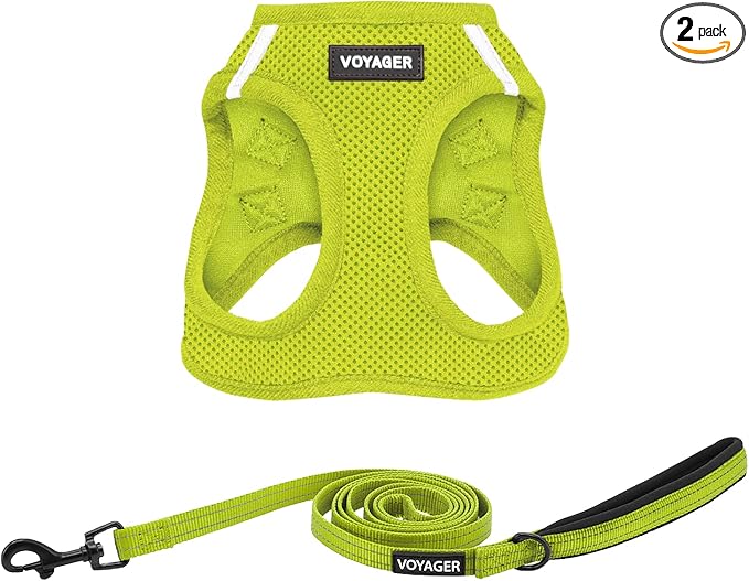 Best Pet Supplies Voyager Step-in Air All Weather Mesh Harness and Reflective Dog 5ft Leash Combo with Neoprene Handle, for Small, Medium and Large Breed Puppies - Lime Green, Small