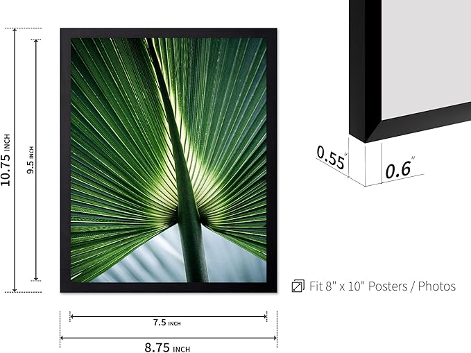 Monem Art Tropical Palm Leaf Macro Photography Print - Minimalist Botanical Nature Art Poster - Wall Decor for Living Room, Bedroom or Office - 8x10 Black Framed Wall Art by Mareike Bohmer