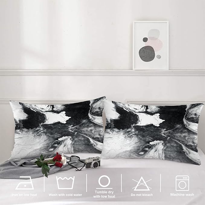 Shrahala Black and White Pillowcases, Watercolor Abstract Hand Painting On Canvas Modern Lumbar Pillow Cover Blended Double-Sided No Inserts for Bedroom Sofa Living Room Set of 2 (26 X 20 in)