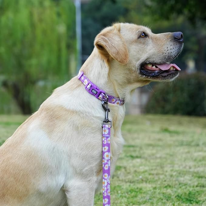 Dog Collar Leash Set, Floral Pattern, with Safety Reflective Strips, 5 ft Matching Leash, Neoprene Padded Handle, Adjustable 4 Sizes for Small Medium Large Dogs.(L, Purple Daisy)