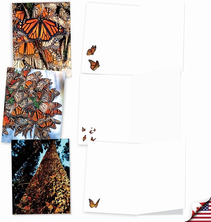 The Best Card Company - 20 Blank Notes with Envelopes - All Occasion Animal Assortment (10 Designs, 2 Each) - The Monarchs AM9538OCB-B2x10
