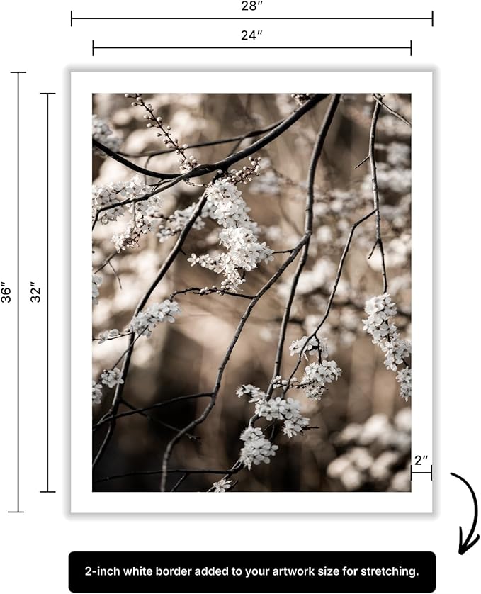 Monem Art Cherry Blossom Branch Photography Print - Moody Botanical Nature Art Poster - Wall Decor for Living Room, Bedroom or Office - 24x32 ROLLED CANVAS Wall Art by Mareike Bohmer