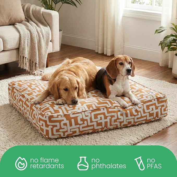 Molly Mutt Hypnotize Dog Bed Duvet Cover, GOTS-Certified 100% Organic Cotton Canvas Cover for Dog, Puppy, or Cat Bed, Durable, Washable, and Free of Harmful Chemicals, Huge, 36"x45"x5"