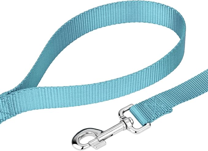Country Brook Petz - Everyday Nylon Dog Collar and Leash - 10+ Cool Colors (1 Inch, Large, Ocean Blue)