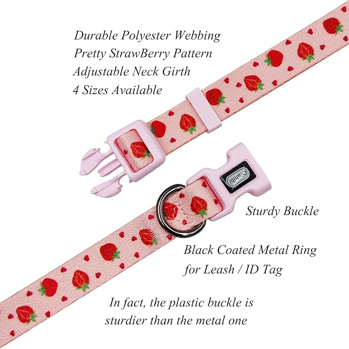 Dog Collar Leash Set, Fruit Pattern, Polyester Material, Adjustable Collar and 5ft Matching Leash, for Puppy Dogs.(XS, Strawberry)