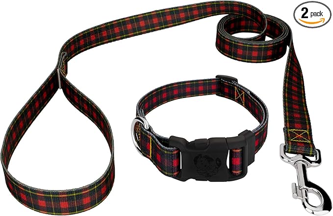 Country Brook Petz - Buffalo Plaid Everyday Dog Collar and Leash - Plaid and Argyle Collection Featuring Charming Designs (1/2 Inch, Extra Small)