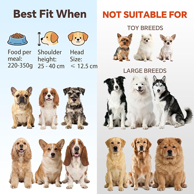 White Large Ceramic Tilted Elevated Cat Dog Bowl Raised Cat Food Water Bowl Dish Pet Comfort Feeding Bowls with Gold Iron Stand