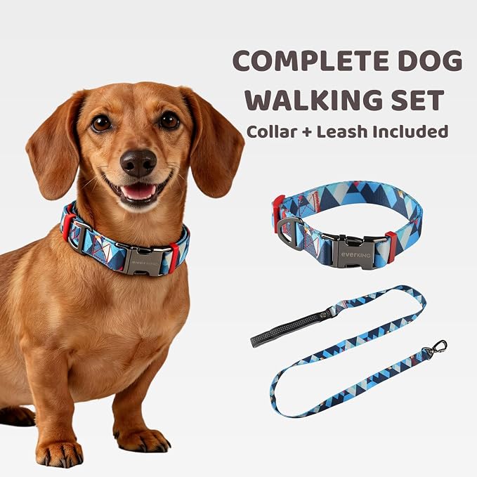 EVERKING Dog Collar & Leash Set for Everyday Walking | Matching adjustable collar and leash set with reflective handle and heavy-duty hardware for comfortable everyday dog walks.