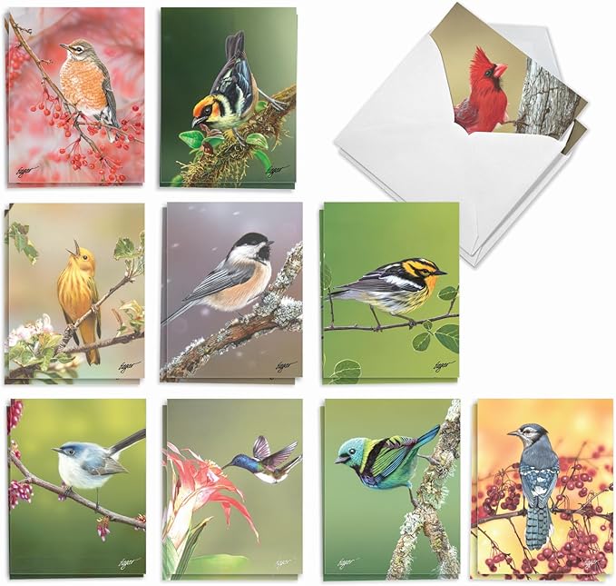 The Best Card Company - 20 Blank Notes with Envelopes - All Occasion Animal Assortment (10 Designs, 2 Each) - Bird Beauties AM9616OCB-B2x10