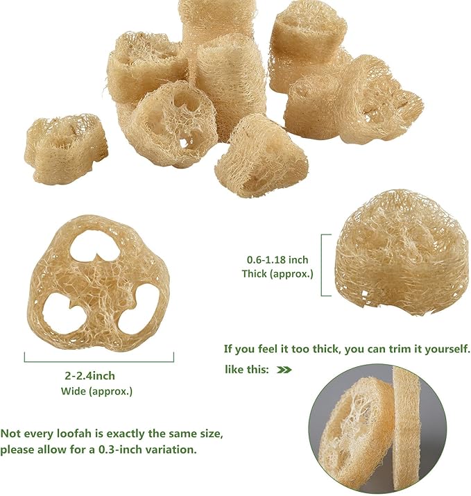 Natural Loofah Sponge for Soap Making, 20 Pack Organic Loofahs Slices Cuts Set, Loofa Exfoliating Body Scrubber, Shower Sponge Luffas for Women and Men