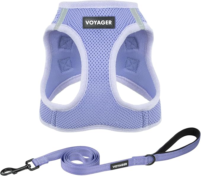 Best Pet Supplies Voyager Step-in Air All Weather Mesh Harness and Reflective Dog 5ft Leash Combo with Neoprene Handle, for Small, Medium and Large Breed Puppies - Lavender, XL