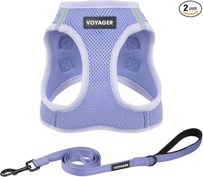Best Pet Supplies Voyager Step-in Air All Weather Mesh Harness and Reflective Dog 5ft Leash Combo with Neoprene Handle, for Small, Medium and Large Breed Puppies - Lavender, M