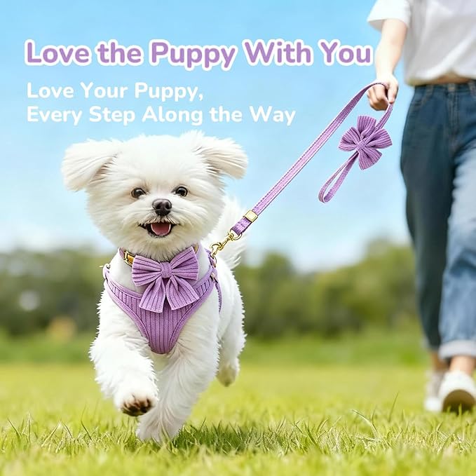 Small Dog Collar Harness and Leash Set with Bowtie, Adjustable Dog Harness Collar and Leash Set with Secure Metal Buckle, Breathable Cotton Adjustable Pet Puppy Harness, Easy Walk Harness, M(16-21")