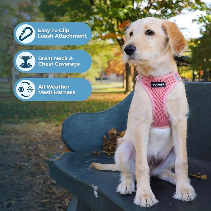Best Pet Supplies Voyager Step-in Air All Weather Mesh Harness and Reflective Dog 5ft Leash Combo with Neoprene Handle, for Small, Medium and Large Breed Puppies - Pink, X-Large
