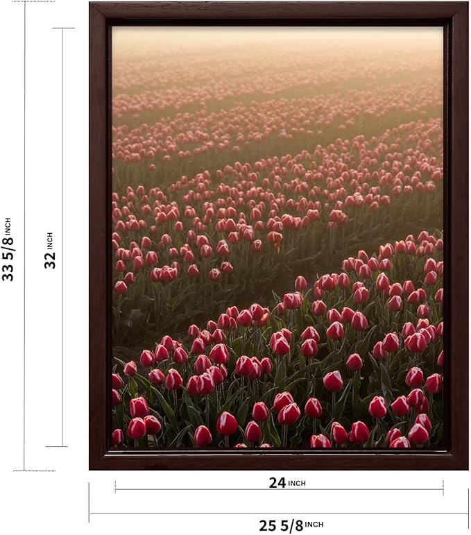 Monem Art Golden Tulip Field Sunset Photography Print - Romantic Spring Landscape Art Poster - Wall Decor for Living Room, Bedroom or Office - 24x32 Brown Framed CANVAS Wall Art by Mareike Bohmer