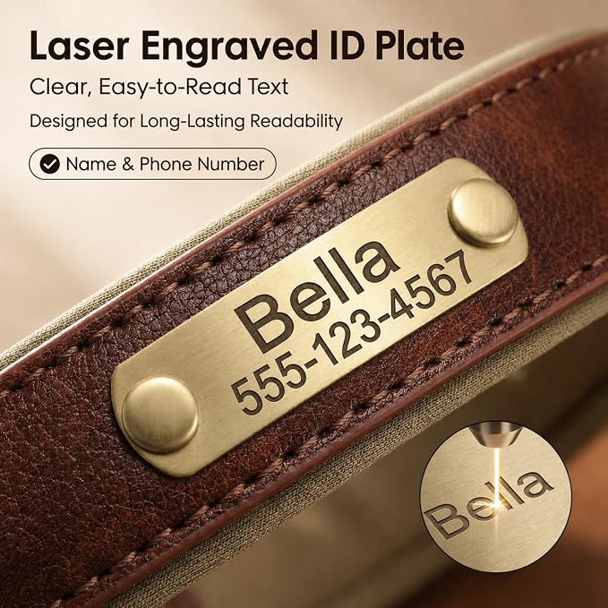 Leather Dog Collar Personalised and Leash Set, Personalized with Soft Padded Design Heavy Duty Featuring Custom Engraved Name Plate for Small Medium and Large Dogs