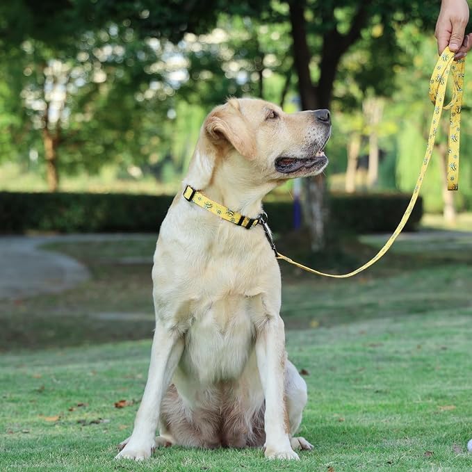 Dog Collar Leash Set, Busy Bee Pattern, 5ft Matching Leash, Polyester Material, 4 for Small Medium Large Dogs.(M, Bee)