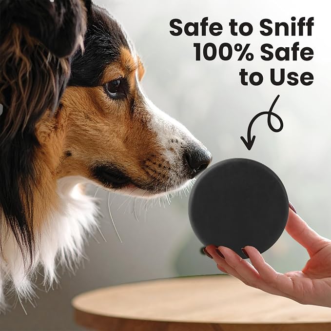 Project Sudz Activated Charcoal Organic Bar Shampoo for Dogs | Odor Eliminating, Deep Cleaning Natural Dog Bar (2)