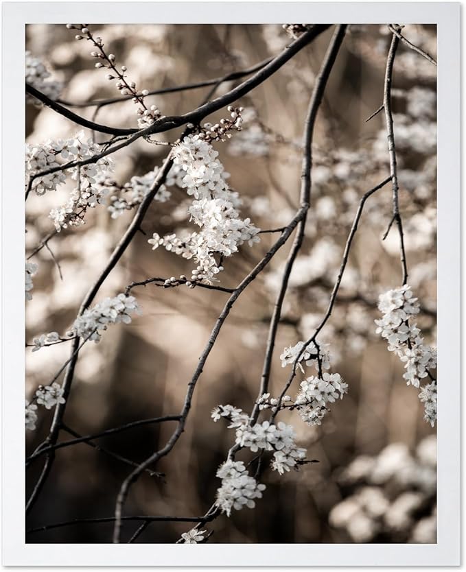 Monem Art Cherry Blossom Branch Photography Print - Moody Botanical Nature Art Poster - Wall Decor for Living Room, Bedroom or Office - 8x10 White Framed Wall Art by Mareike Bohmer