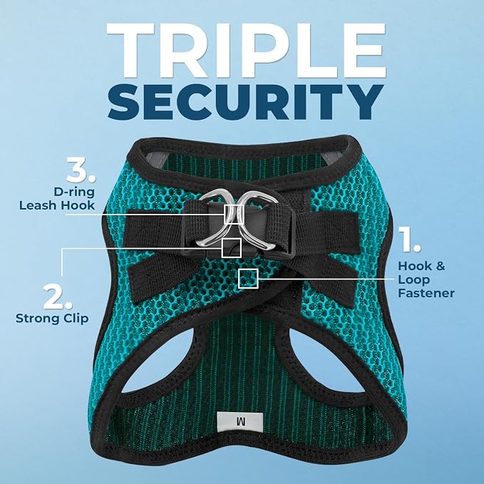 Best Pet Supplies Voyager Step-in Air All Weather Mesh Harness and Reflective Dog 5ft Leash Combo with Neoprene Handle, for Small, Medium and Large Breed Puppies - Set (Turquoise 2-Tone), Medium