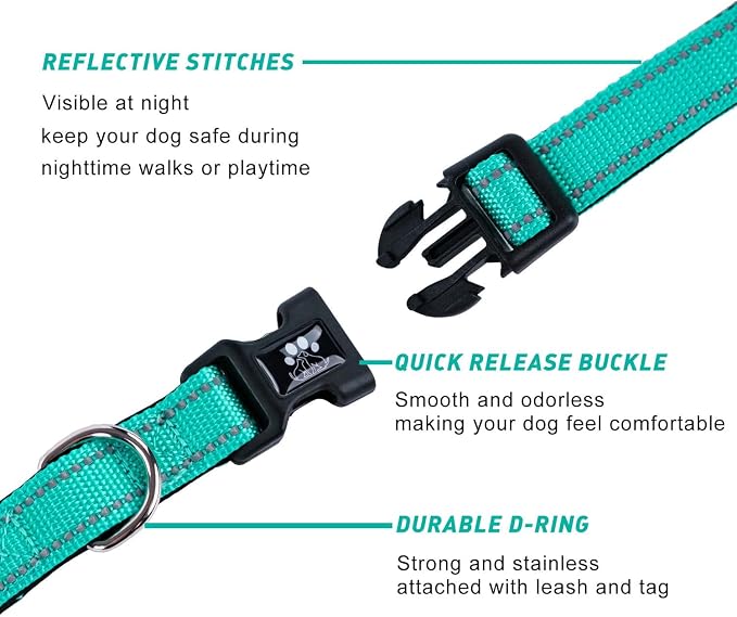 FURRYFECTION Reflective Dog Collar and Leash Set with Quick Release Buckle, Padded with Neoprene Adjustable Nylon Dog Collar for Small Medium and Large Dogs (Medium Collar+5FT Leash, Teal)