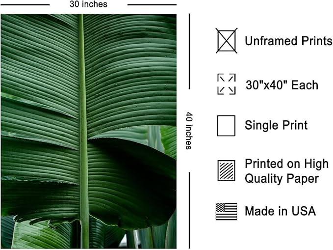 Monem Art Tropical Banana Leaf Photography Print - Minimalist Botanical Nature Poster - Wall Decor for Living Room, Bedroom or Office - 30x40 Unframed Wall Art by Mareike Bohmer