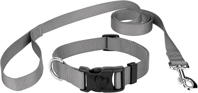 Country Brook Petz - Everyday Nylon Dog Collar and Leash - 10+ Cool Colors (1 Inch, Large, Silver)