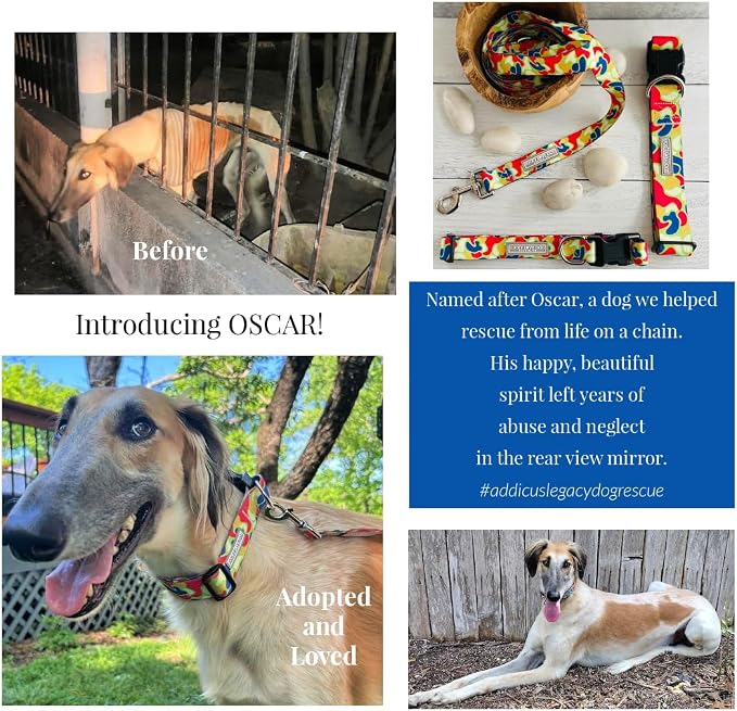 Lucky Love Dog - Adjustable Dog Collar with Easy Click Buckle for Small Dogs, Durable, & Comfortable for Male & Female Dogs, Pet Collar for Puppies & Adult Ones - Oscar, XS