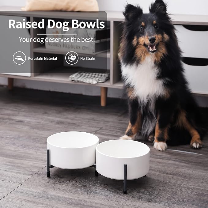 32 oz Ceramic Dog Bowls with Metal Stand, 6 Inch Pet Food and Water Dish | Bowl Dishwasher and Microwave Safe, 2 Heights, for Cats & Dogs, Prevent Neck Fatigue, White
