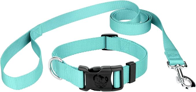 Country Brook Petz - Everyday Nylon Dog Collar and Leash - 10+ Cool Colors (1 Inch, Extra Large, Light Cyan)