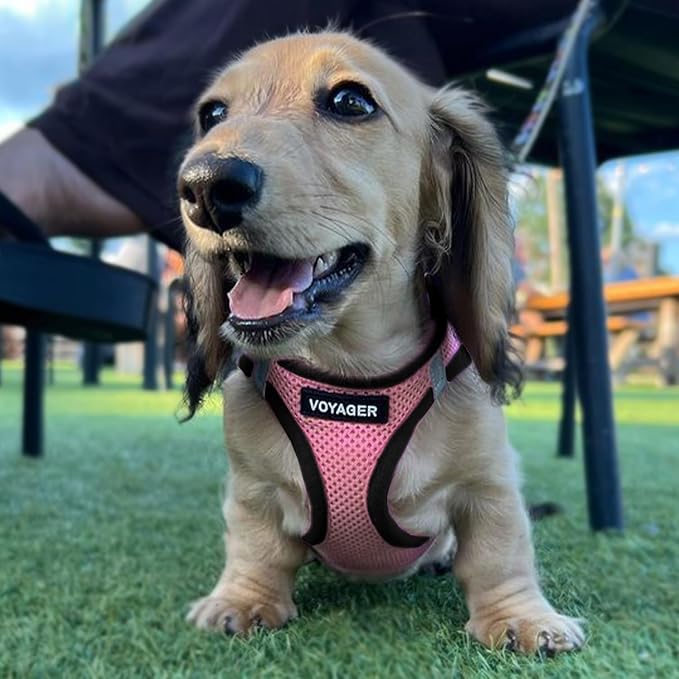 Best Pet Supplies Voyager Step-in Air All Weather Mesh Harness and Reflective Dog 5ft Leash Combo with Neoprene Handle, for Small, Medium and Large Breed Puppies - Pink Base, Medium