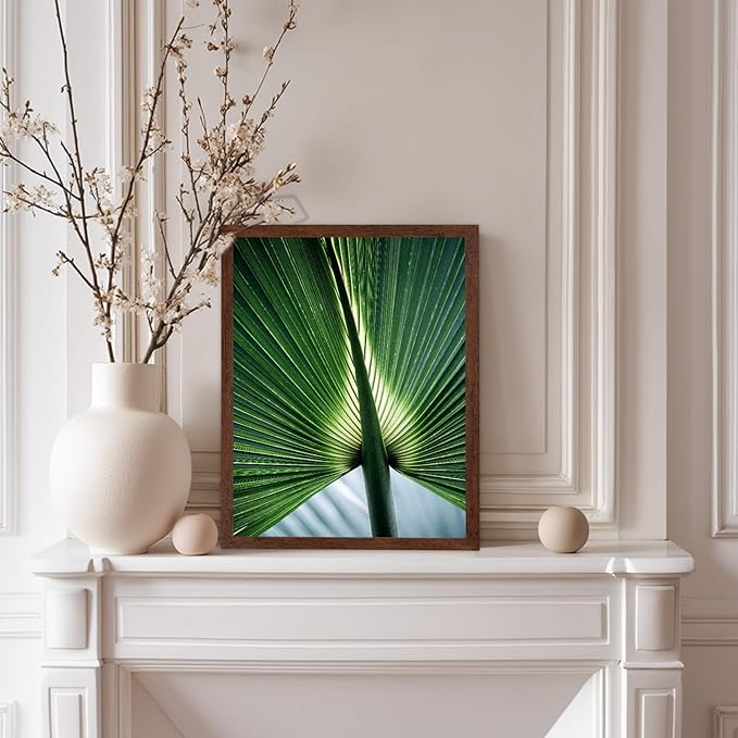 Monem Art Tropical Palm Leaf Macro Photography Print - Minimalist Botanical Nature Art Poster - Wall Decor for Living Room, Bedroom or Office - 8x10 Brown Framed Wall Art by Mareike Bohmer