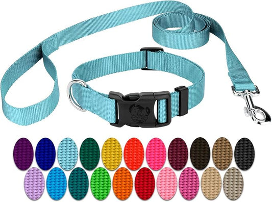 Country Brook Petz - Everyday Nylon Dog Collar and Leash - 10+ Cool Colors (3/8 Inch, 2XS, Ocean Blue)