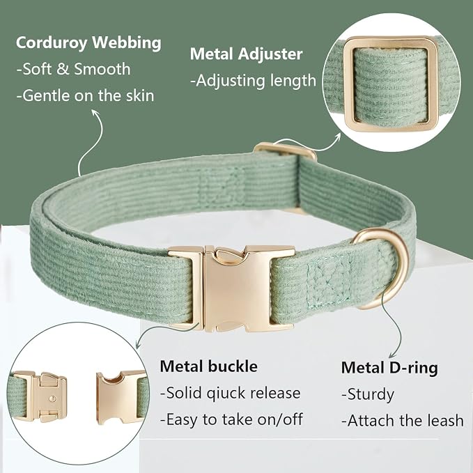 Soft Corduroy Dog Collar and Leash Set Adjustable Durable Dog Collars with Metal Buckle and Lead for Medium Dogs,Grass Green