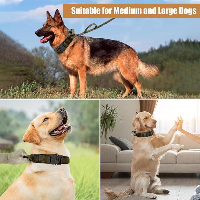 Tactical Dog Collar Leash Set, Adjustable Military Training Nylon Collar Dog Training with Control Handleand Metal Buckle, Dog Collar for Medium Large Dogs (Green,L)