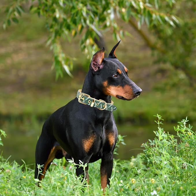 Leather Dog Collar and Leash Set, Check Pattern Dog Collar Leashes Metal Buckle Adjustable Durable for Small Medium Large Dogs (Green, XL(18-22IN))