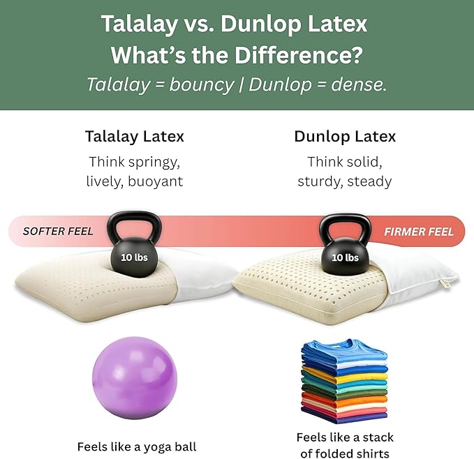 ORGANIC TEXTILES Dunlop Medium Firm Latex Bed Pillow with Organic Cotton Cover - GOTS and GOLS Certified (Standard) - Pack of 1