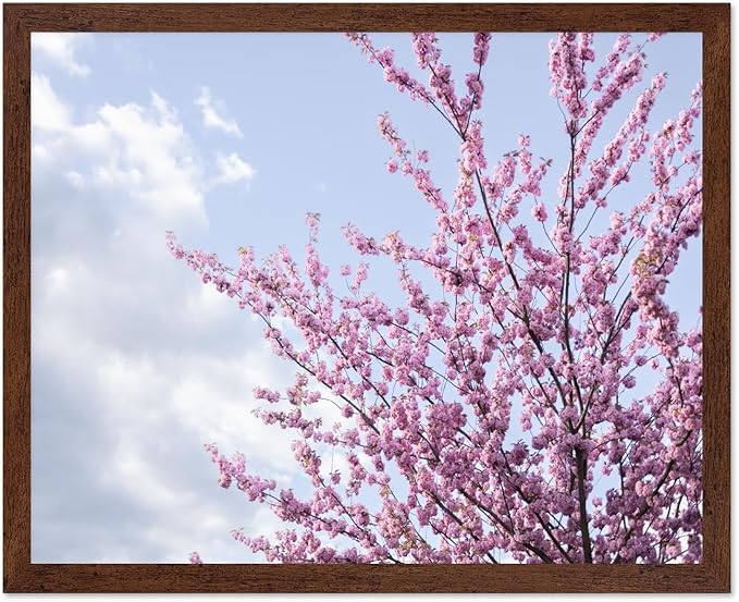 Monem Art Cherry Blossom Spring Sky Photography Print - Floral Nature Art Poster - Wall Decor for Living Room, Bedroom or Office - 8x10 Brown Framed Wall Art by Mareike Bohmer