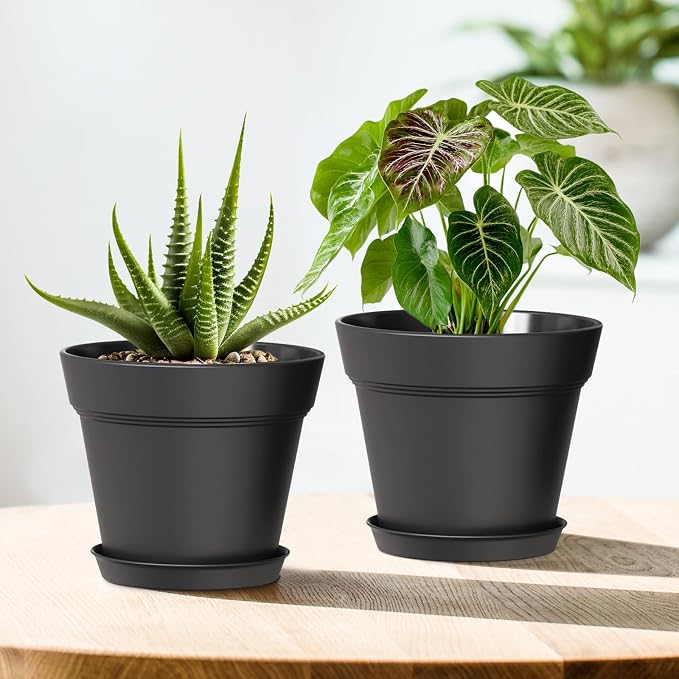 WSMKSZ 6 Inch Thick Plastic Plant Pots with Drainage Holes and Trays – 6 Pack Nursery Pots for Indoor & Outdoor House Plants, Seedling Starter Planters for Garden Flowers, Matte Black