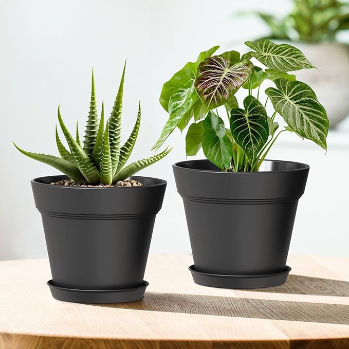 WSMKSZ 5 Inch Plastic Plant Pots with Drainage Holes and Trays – 6 Pack Small Nursery Pots for Indoor & Outdoor House Plants and Flowers, Seedling Starter Planters, Matte Black