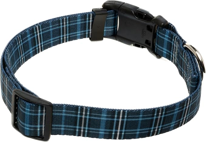 Country Brook Petz - Navy Plaid Everyday Dog Collar and Leash - Plaid and Argyle Collection Featuring Charming Designs (1/2 Inch, 2XS)