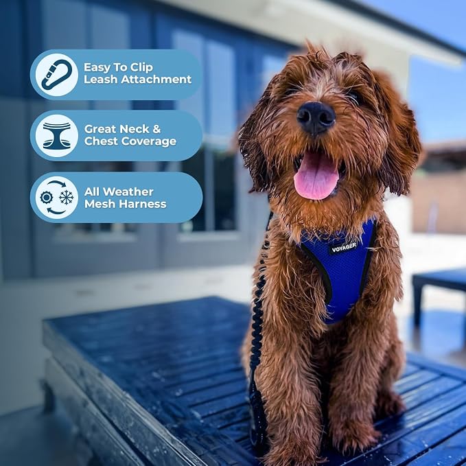 Best Pet Supplies Voyager Step-in Air All Weather Mesh Harness and Reflective Dog 5ft Leash Combo with Neoprene Handle, for Small, Medium and Large Breed Puppies - Royal Blue/Black Trim, X-Small