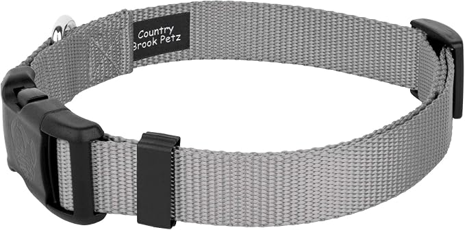 Country Brook Petz - Everyday Nylon Dog Collar and Leash - 10+ Cool Colors (1 Inch, Extra Large, Silver)