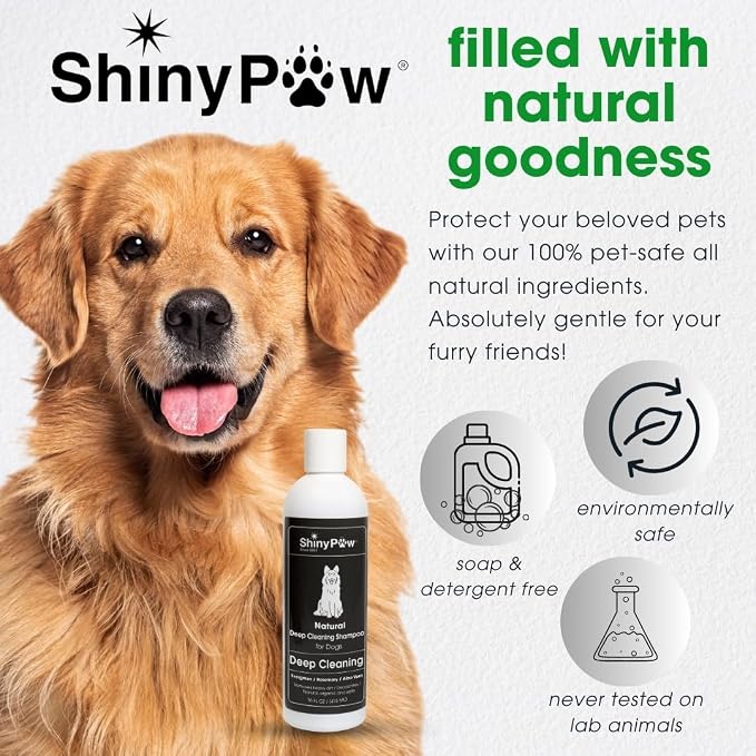Shiny Paw Natural Deep Cleaning Organic Dog Shampoo 16 oz | Dog Itching Skin Relief with Evergreen, Aloe & Rosemary | Natural Dog Shampoo for Smelly Dogs
