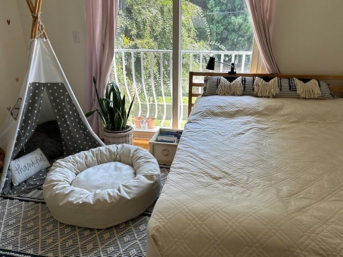 Organic Cotton Canvas Dog Bed: Removable Cover, Natural Fill - Made in USA (Natural, Small 24" x 7" inches)